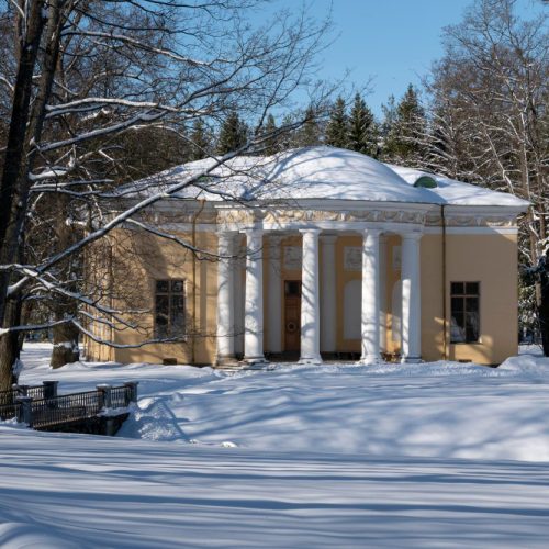 front view of a house with yellow walls surrounded by trees covered under snow