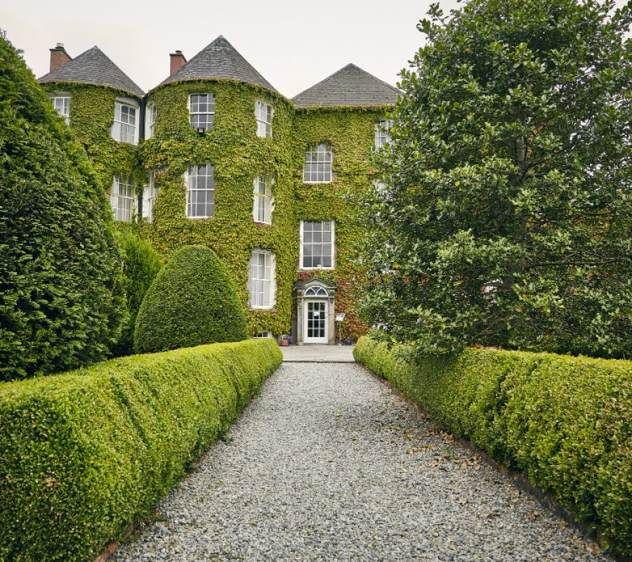 front picture of a house with lot of trees and shrubs all sides of the wall is covered by growing weeds